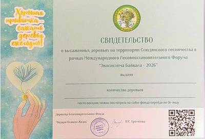 Серьги "Секретики моря"