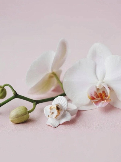 Кольцо "Орхидея" белая